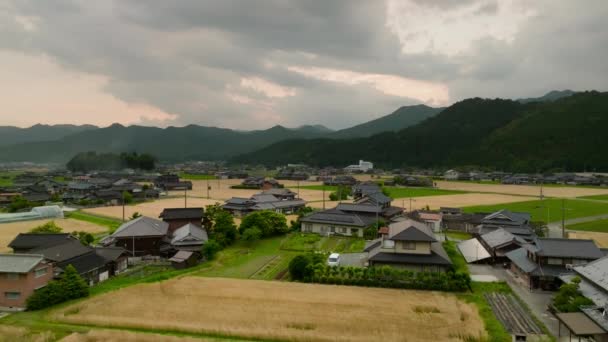 Altın Buğday Tarlalarının Geleneksel Japon Evlerinin Üzerine Düşüyor Yüksek Kalite — Stok video