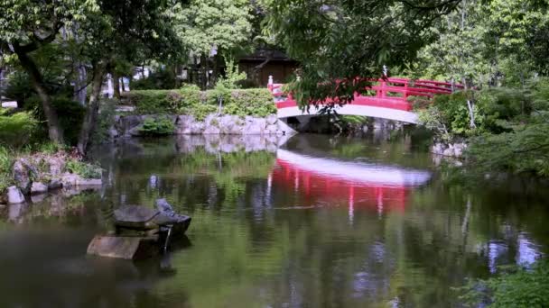 Klidná Scéna Želví Fontánou Červeným Mostem Japonské Zahradě Vysoce Kvalitní — Stock video