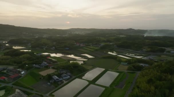 Flying Flooded Rice Fields Houses Rural Landscape Sunset High Quality — Stock Video