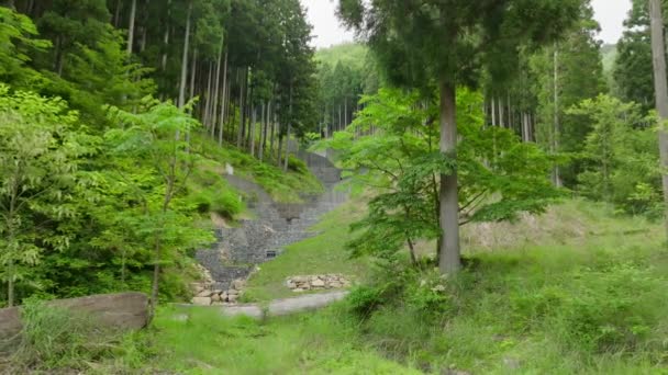 Ormandaki Kaya Beton Istinat Duvarlarına Doğru Hızla Ilerliyor Yüksek Kalite — Stok video
