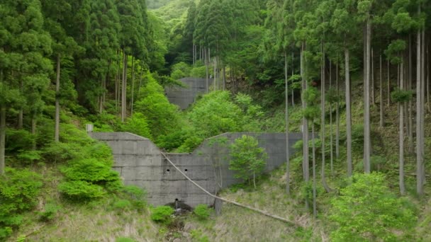 Malý Potok Protéká Potrubím Betonové Opěrné Zdi Zeleném Lese Vysoce — Stock video