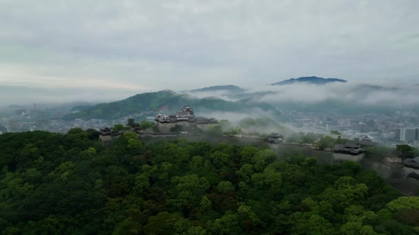 Tidig Morgon Dimma Över Historiska Japanska Slott Kullen Med Utsikt — Stockvideo
