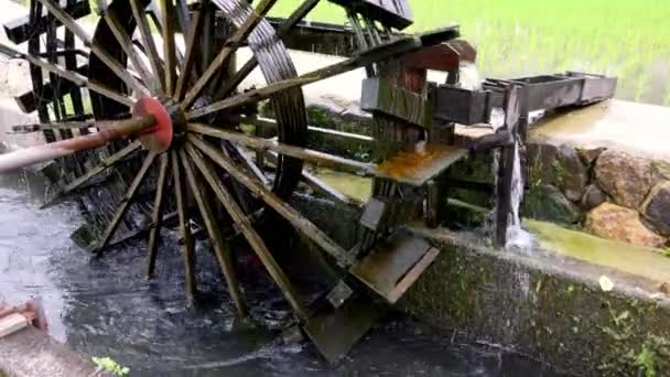 Historic Wooden Wheel Canal Transports Irrigation Water Rice Field High — Stockvideo