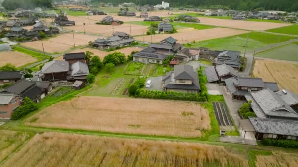 山に囲まれた村の伝統的な日本家屋や金色の麦畑 高品質4K映像 — ストック動画