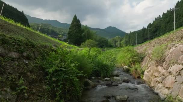 Élevant Dessus Eau Coulant Dans Rivière Par Les Rizières Village — Video