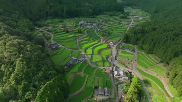 Rotieren Terrassierte Reisfelder Und Dorf Grünen Bergen Hochwertiges Filmmaterial — Stockvideo