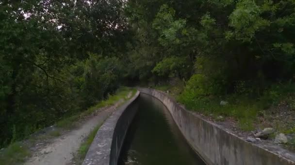 Vodní Kanál Nečistoty Pěší Stezka Mezi Zelenými Stromy Klidných Lesích — Stock video