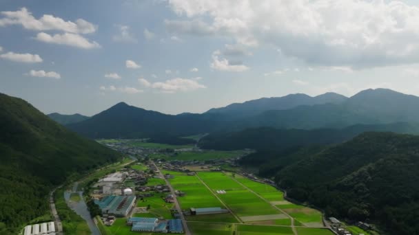 Letecký Pohled Zelená Rýžová Pole Pohoří Slunečného Dne Vysoce Kvalitní — Stock video