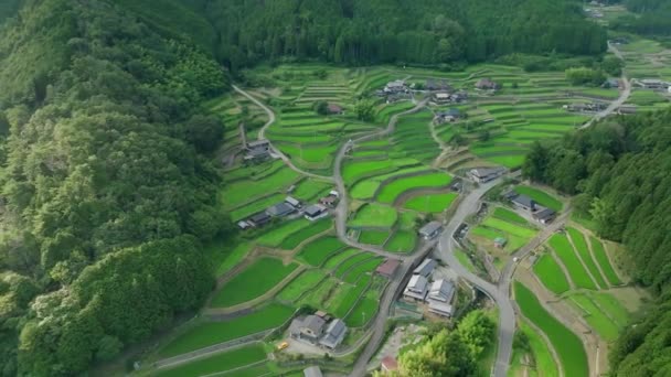 둘러싸인 쌀밭과 마을을 날아보세요 고품질 — 비디오