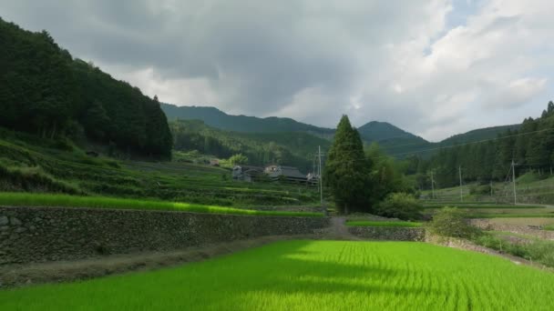 Перемещение Зеленым Террасовым Рисовым Полям Традиционному Дому Горах Высококачественные Кадры — стоковое видео
