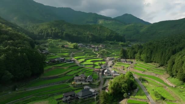 Vibrant Green Rice Fields Traditional Houses Mountain Landscape High Quality — Stock Video