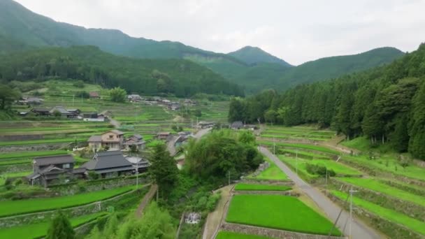 Vertes Rizières Terrasses Dans Petit Village Par Des Montagnes Verdoyantes — Video