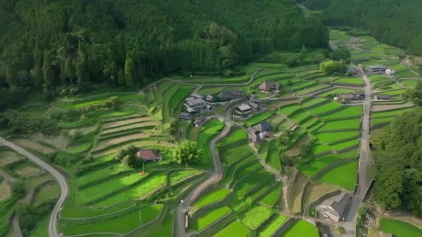 Langsame Bewegung Über Terrassenförmig Angelegten Reisfeldern Bergdorf Isarigami Hochwertiges Filmmaterial — Stockvideo