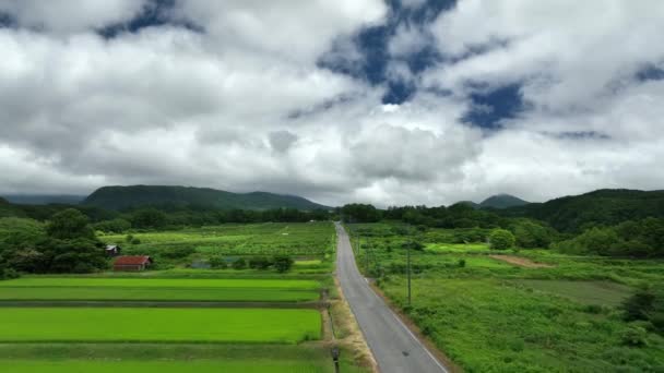 Flying Forward Open Country Road Rice Fields Cloudy Day High — Stock Video