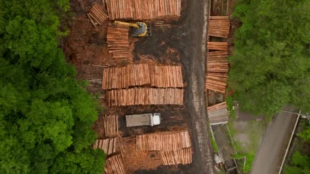 森林の伐採場で積み重ねられた木や木の頂上からの眺め 高品質の4K映像 — ストック動画