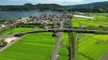 Güneşli bir günde Japonya kırsalında yeşil pirinç tarlalarından geçen trenin hava görüntüsü. Yüksek kalite 4k görüntü