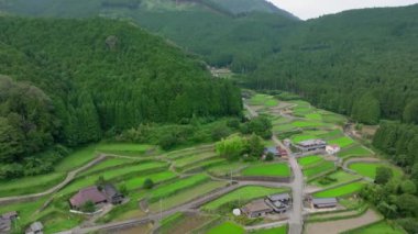 Japonya 'nın ormanlı dağlarındaki evlerin yanındaki yeşil teraslı pirinç tarlaları. Yüksek kalite 4k görüntü