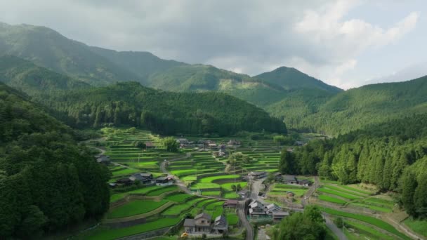 풍경에서 쌀밭과 마을을 느리게 당겨보세요 고품질 — 비디오