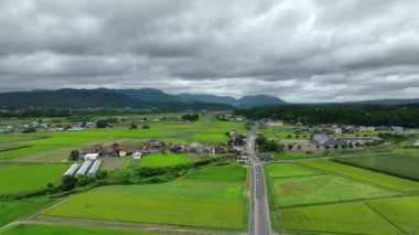 Japonya 'nın Tottori şehrinde bulutlu bir günde yemyeşil pirinç tarlalarında sakin bir köy yolu. Yüksek kalite 4k görüntü
