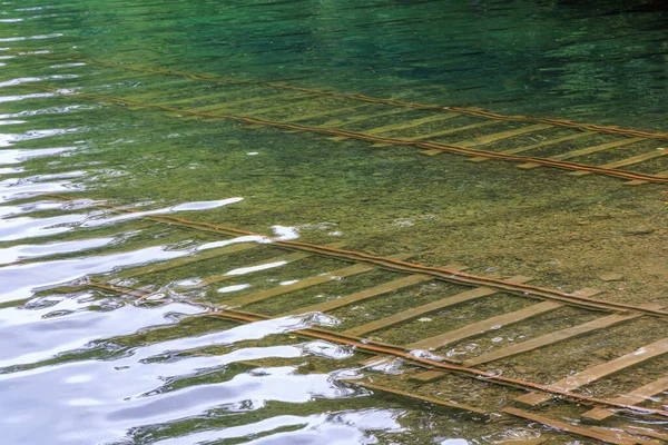 Japonya, Hokkaido 'daki Shikaribetsu Gölü' nde su altı izleri. Yüksek kalite fotoğraf