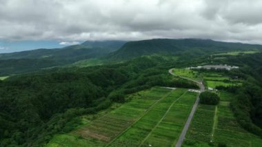 Tottori dağlarındaki yeşil pirinç tarlalarının üzerinden uçarak. Yüksek kalite 4k görüntü