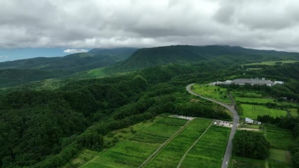 Létání Pozpátku Přes Bujná Zelená Rýžová Pole Lesy Horské Krajině — Stock video