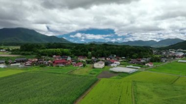 Japonya 'nın dağlarındaki köy ve kır yollarındaki yeşil pirinç tarlaları. Yüksek kalite 4k görüntü