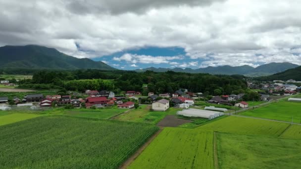 日本山区乡村道路和乡村旁边的绿稻田 高质量的4K镜头 — 图库视频影像