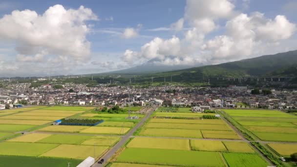 在珠穆朗玛峰底部的稻田上空盘旋 富士作为新干线飞驰而过 高质量的4K镜头 — 图库视频影像