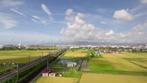 随着子弹列车穿过农村地区 水稻在季后春笋上升起 高质量的4K镜头 — 图库视频影像