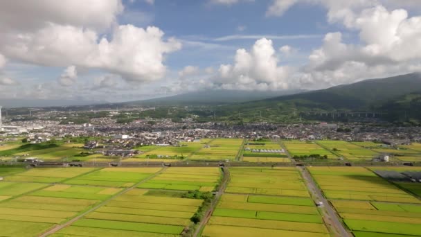Volando Izquierda Sobre Campos Arroz Base Del Monte Fuji Como — Vídeos de Stock