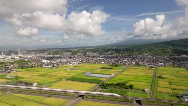 新干线在山脚下穿过绿色稻田 富士在夏日 高质量的4K镜头 — 图库视频影像