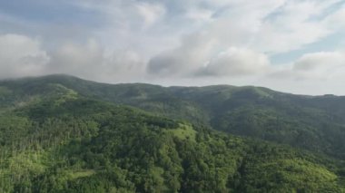 Japonya 'nın Hokkaido kentindeki Rebun Adası' nda alçak bulutların ve sabah güneşinin hava manzarası. Yüksek kalite 4k görüntü