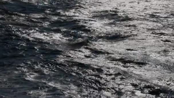 Wellen Und Strömung Ruhigem Ozeanwasser Mit Wenig Morgenlicht Hochwertiges Filmmaterial — Stockvideo