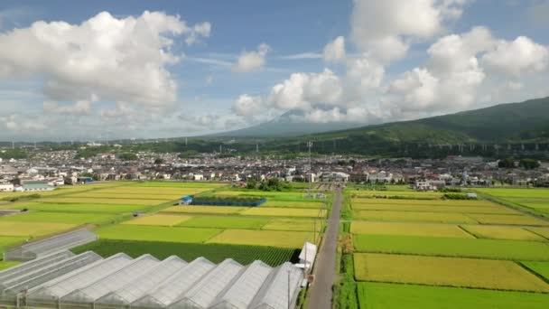 Vzestup Nad Skleníky Pozdních Letních Rýžových Polích Úpatí Fuji Vysoce — Stock video