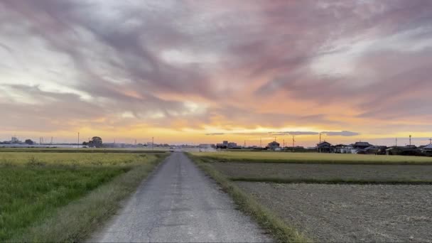 Tarlalardan Çiftliklerden Dramatik Günbatımı Gökyüzüne Doğru Düz Bir Kır Yolu — Stok video
