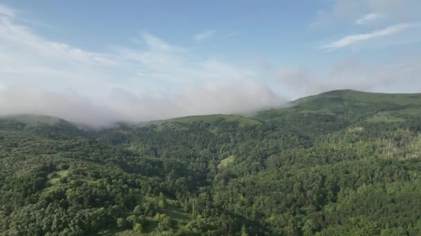 Niedriger Nebel Auf Kamm Über Unberührter Landschaft Und Grünen Bewaldeten — Stockvideo