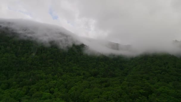 Nebel Wälzt Sich Einem Bewölkten Tag Hokkaido Japan Den Bewaldeten — Stockvideo