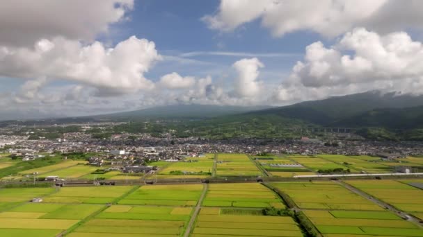 当子弹列车经过山脚下的稻田时 向前飞去 富士在夏日 高质量的4K镜头 — 图库视频影像