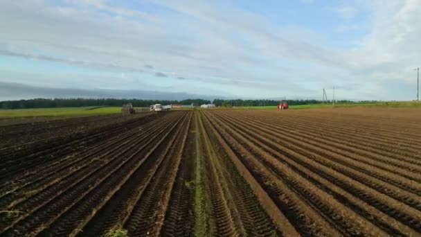 朝の光で農場の土壌のプロートラックの上を高速かつ低く飛ぶ 高品質の4K映像 — ストック動画