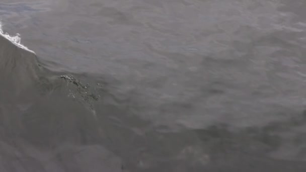 Whitecaps Movem Sobre Água Escura Calma Oceano Calmo Imagens Alta — Vídeo de Stock