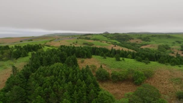 Voando Sobre Árvores Colinas Gramadas Nevoeiro Sobre Estrada Costeira Hokkaido — Vídeo de Stock