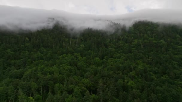 緑の山の宝石を通って漂流する低霧への空中アプローチ 高品質の4K映像 — ストック動画