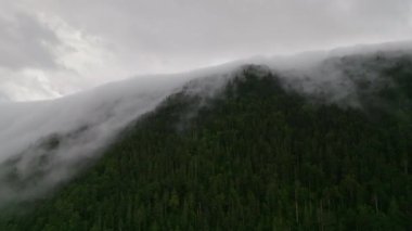 Japonya 'nın Hokkaido kentindeki ormanlık dağın tepesinde alçak sis bulutu görülüyor. Yüksek kalite 4k görüntü