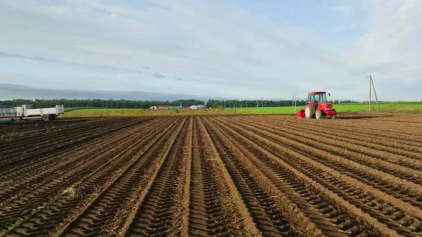 Pflugspuren Und Traktor Boden Auf Einem Kleinen Bauernhof Morgenlicht Hochwertiges — Stockvideo
