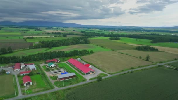 北海道奶牛场绿地小农场红色谷仓周围的空中轮班 高质量的4K镜头 — 图库视频影像