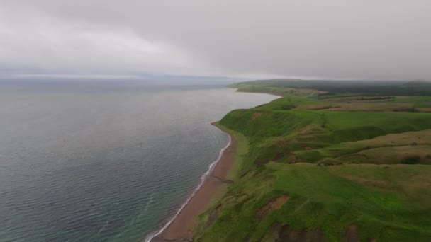 緑豊かな崖の上を飛行し 北海道の夏のオホーツク海岸の砂漠のビーチ 高品質の4K映像 — ストック動画