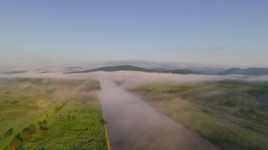 Hokkaido yaz manzarasında sabah sisi ve sisiyle nehrin üzerinde uçuyor. Yüksek kalite 4k görüntü
