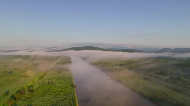 Survoler Rivière Avec Brume Matinale Brouillard Dans Paysage Estival Hokkaido — Video