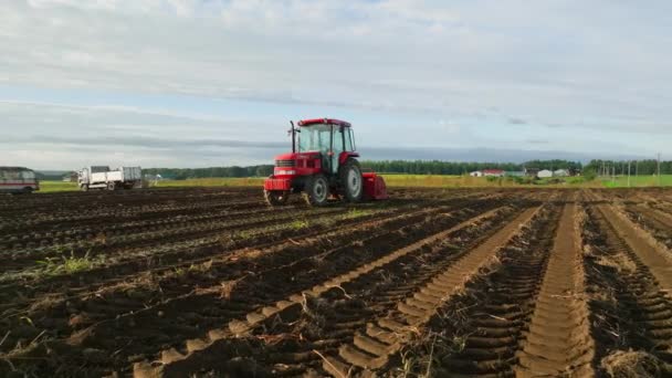 Rychle Pohybuje Červeným Traktorem Čerstvě Oraných Řadách Půdě Malé Farmě — Stock video